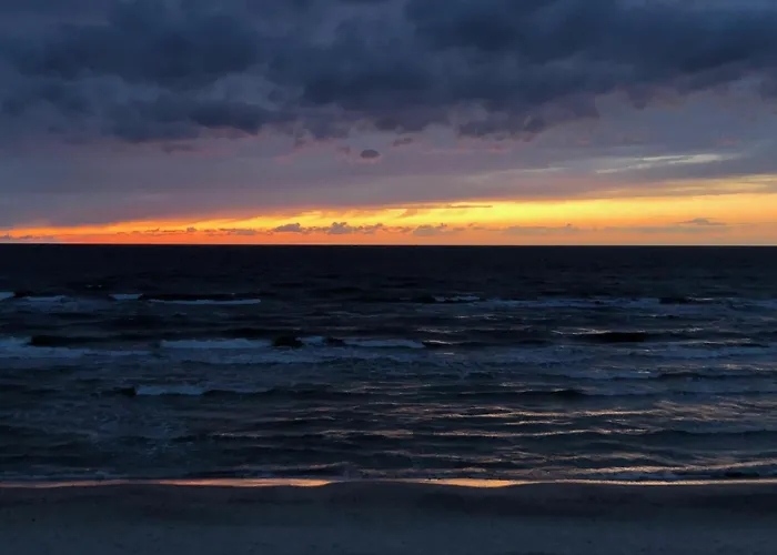 Baltic & Dom Baltic Garden